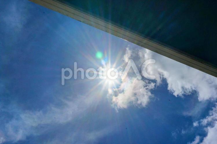 日差し　夏 背景,模様,猛暑の写真素材