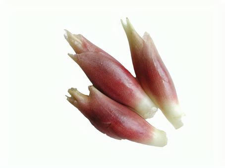 みょうが切り抜き みょうが,薬味,野菜の写真素材