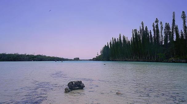 ニューカレドニア289ピッシングナチュレの写真