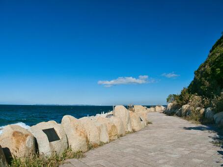 伊良湖岬遊歩道 伊良湖岬,遊歩道,海の写真素材