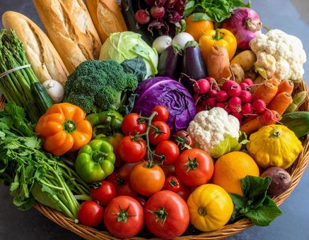 野菜 野菜の写真