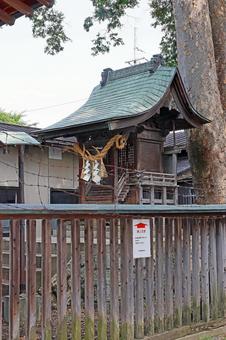 野々宮神社、(松本、笹部) 野々宮神社、(松本、笹部) 野々宮神社,沙土煮命,倭姫命の写真素材