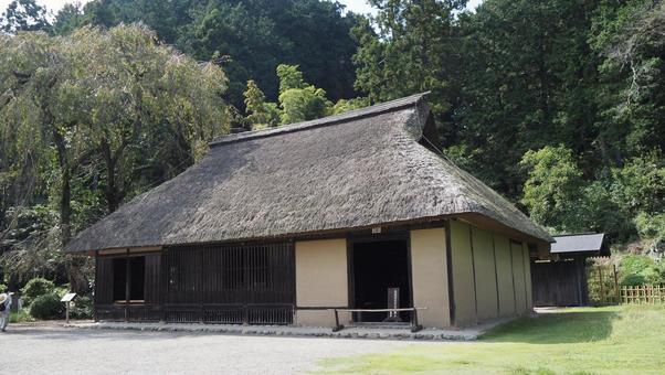 秋の高麗神社・古民家(埼玉県・日高市) 秋の高麗神社・古民家(埼玉県・日高市) 秋,高麗神社,境内の写真素材