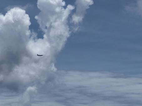 飛行機 飛行機の写真