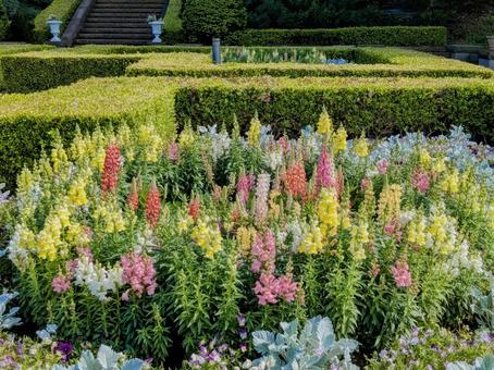 初夏の庭園に咲く色とりどりの花 初夏の庭園に咲く色とりどりの花の写真
