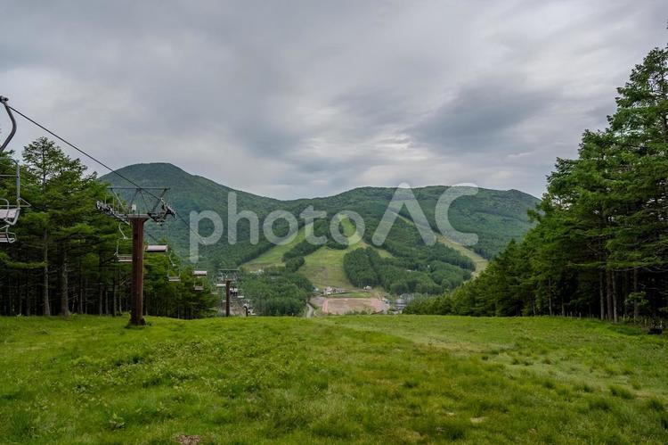 湯の丸高原周辺の景色 湯の丸高原,山,植物の写真素材