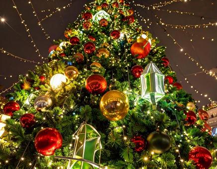 クリスマスツリー02 クリスマスツリー02の写真