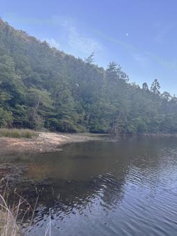 ジャングルの森の写真