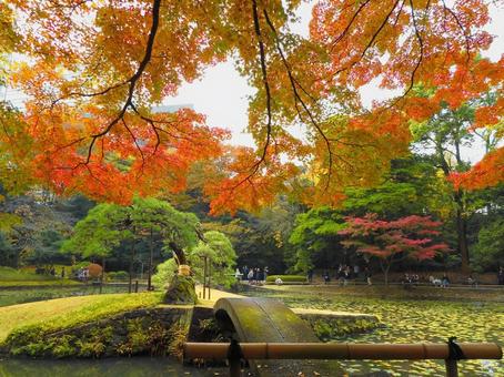 紅葉狩りの写真