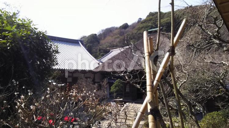 神社暮らし 光景,北鎌倉,小屋の写真素材