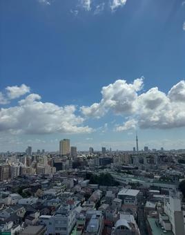 東京 空,今空,東京の写真素材