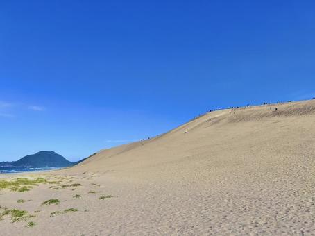 砂丘 山陰,砂丘,鳥取砂丘の写真素材