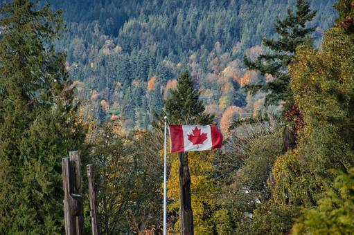秋晴れにたなびくカナダの旗　　カナダ カナダの旗,カナダ,国旗の写真素材
