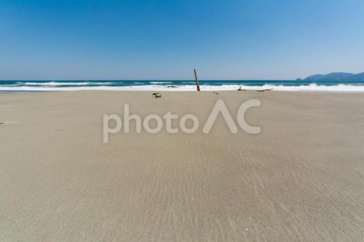 砂浜と流木 空,海,水平線の写真素材