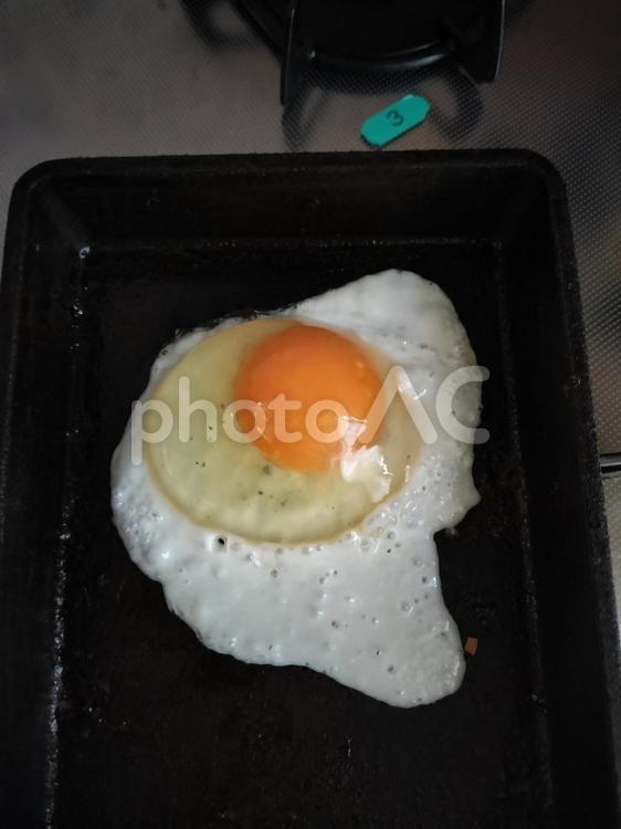 フライパンで焼いている目玉焼き 卵,目玉焼き,フライパンの写真素材