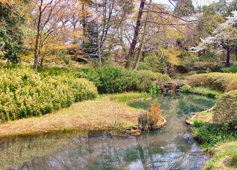 清水公園の風景-32 清水公園の風景-32 清水公園,千葉県野田市,公園の写真素材