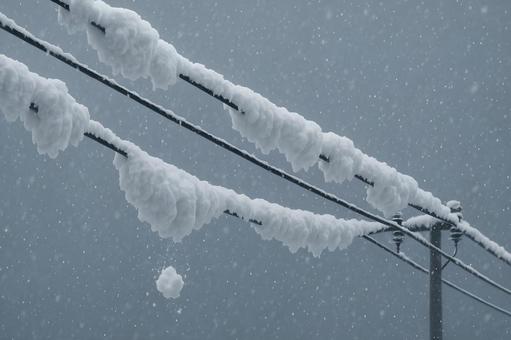 雪が積もる電線 雪が積もる電線の写真