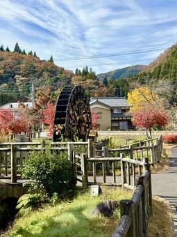 11月　秋の竹田水車メロディーパーク 竹田水車メロディーパーク,自然,水車の写真素材