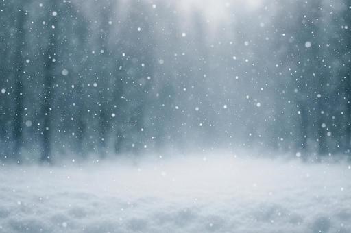 雪が降り積もる冬の森 雪が降り積もる冬の森の写真