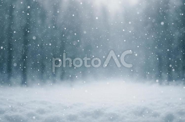 雪が降り積もる冬の森 背景,季節,タイトルの写真素材