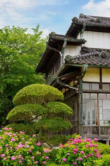 Photo, a shrine, mountain shrine, shrines and temples, 
