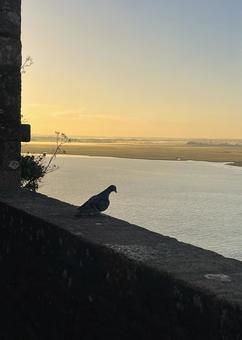 モンサンミッシェルの島内からの眺め モンサンミッシェルの島内からの眺め モンサンミッシェル,フランス,朝の写真素材