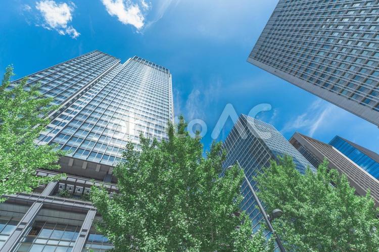 丸の内の高層ビル群と青空 丸の内,高層ビル,都市の風景の写真素材