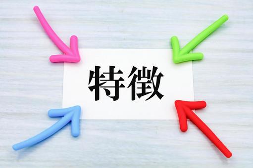 特徴を突き詰める 特徴を突き詰めるの写真