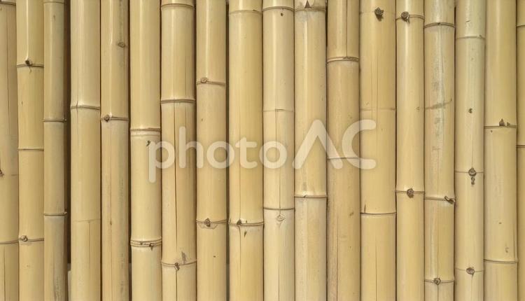 竹の背景　アップ 竹垣,竹柵,和風の写真素材