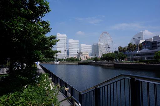 みなとみらいの風景 みなとみらいの風景の写真