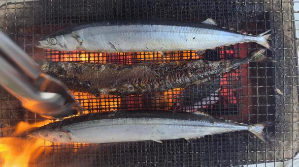 秋刀魚(さんま)を炭火で網焼き 秋刀魚(さんま)を炭火で網焼き さんま,サンマ,秋刀魚の写真素材