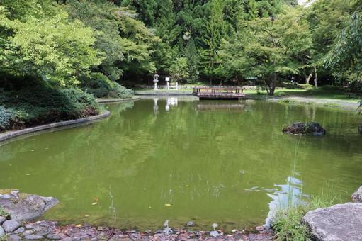 久安寺 虚空園パン字池 久安寺 虚空園パン字池 久安寺,虚空園,パン字池の写真素材
