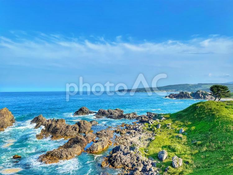 種差海岸 種差海岸,葦毛崎展望台,三陸復興国立公園の写真素材