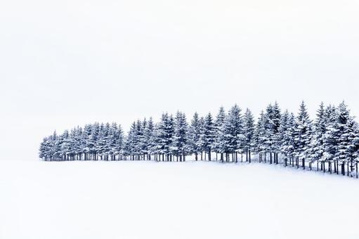 雪降りの並木、イメージ処理 雪降りの並木、イメージ処理の写真
