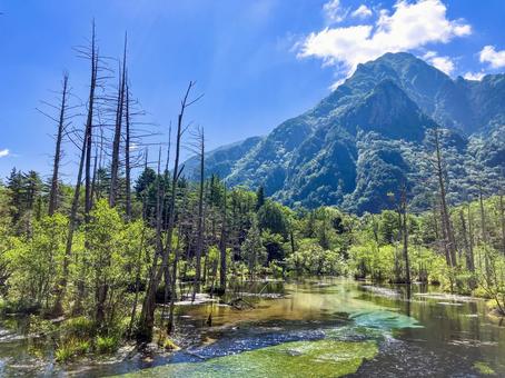 夏の上高地 岳沢湿原と六百山 夏の上高地 岳沢湿原と六百山 上高地,岳沢湿原,夏の写真素材