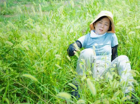 35:草むしりをする女性 35:草むしりをする女性 屋外作業,草刈り,雑草の写真素材