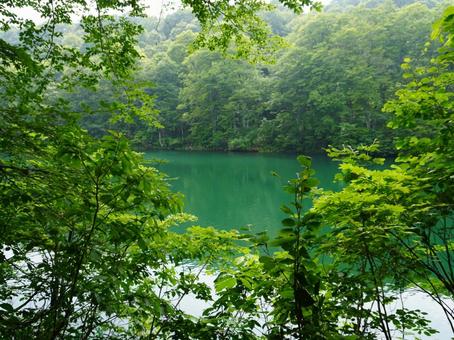 釜池 釜池の写真