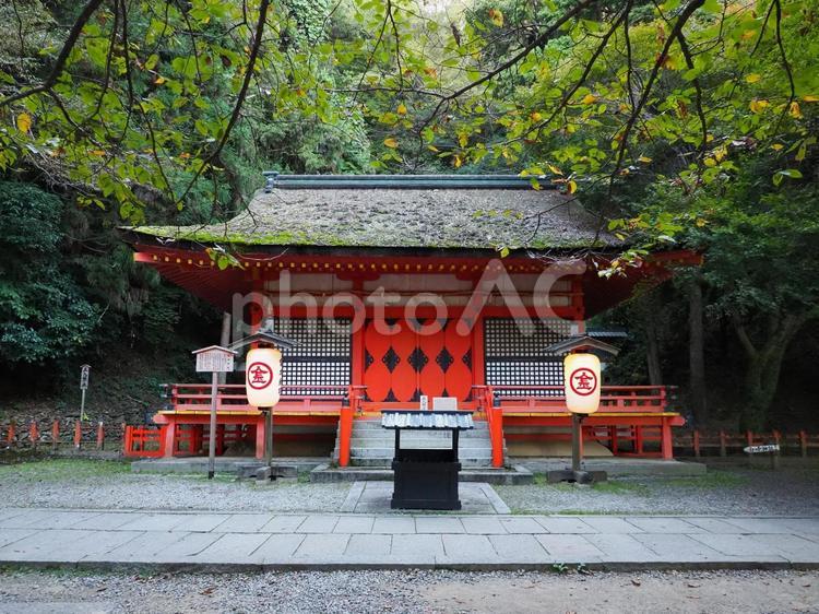 金刀比羅宮17 金刀比羅宮,白峰神社,こんぴらさんの写真素材
