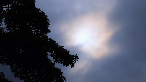 夏の天気 曇りのち晴れ でも雨降りそう 夏の天気 曇りのち晴れ でも雨降りそう 太陽,夏,曇りの写真素材