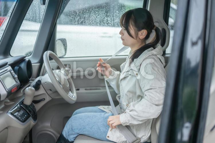 シートベルトを着用する女性 シートベルト,着用,女性ドライバーの写真素材