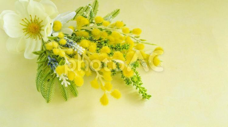 ミモザと白い花と黄色の背景 ミモザ,花,春の写真素材
