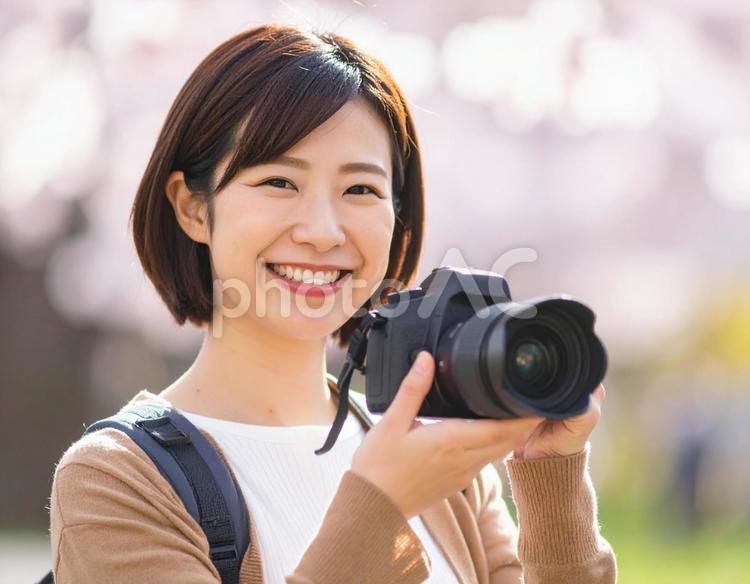 春の風景を撮影するカメラ女子 カメラ女子,女性,写真の写真素材