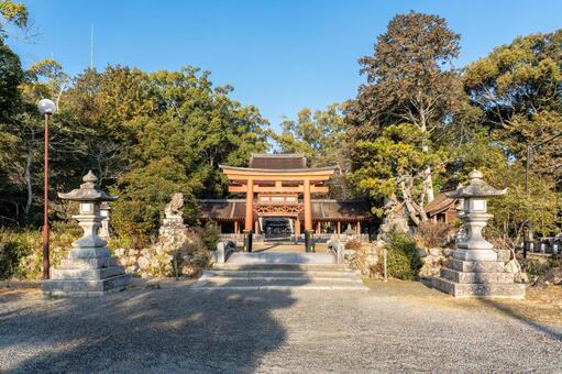 滋賀　兵主大社　楼門と鳥居 兵主大社,ひょうずたいしゃ,神社の写真素材
