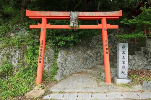 八幡浜市　愛宕山王照院　鳥居と遊歩道 愛宕山王照院,愛宕山,神社の写真素材