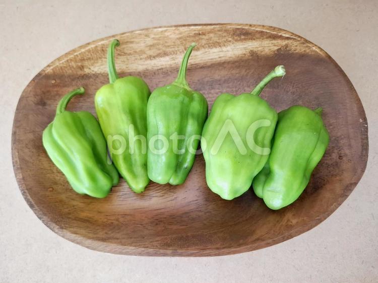採れたてピーマン_2 夏野菜,野菜,ピーマンの写真素材