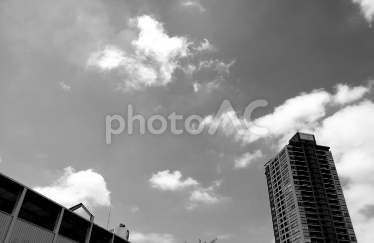 喧騒からの空（モノクロ） モノクロ,空,雲の写真素材