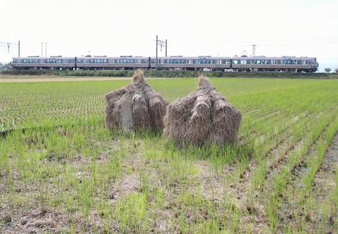 日本の秋 秋,稲刈り,藁積みの写真素材