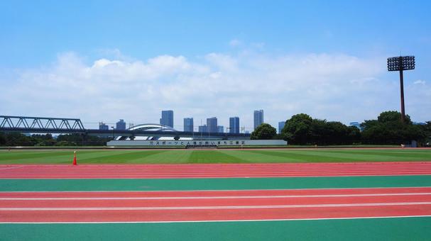 夏の夢の島公園・競技場（東京都江東区） 夏,夢の島公園,夢の島競技場の写真素材