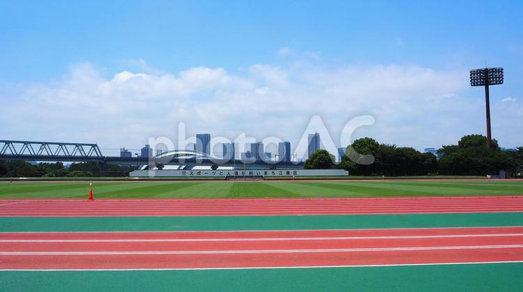 夏の夢の島公園・競技場（東京都江東区） 夏,夢の島公園,夢の島競技場の写真素材