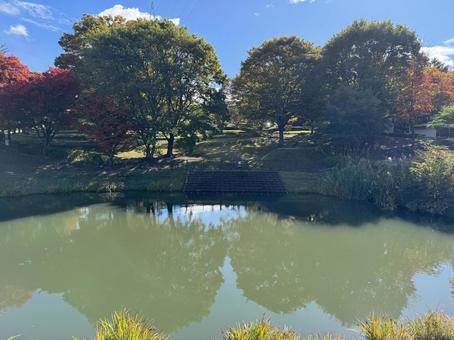 晩秋の小坂田公園の紅葉（長野県塩尻市）の写真